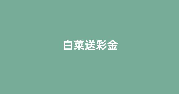 白菜公司下载